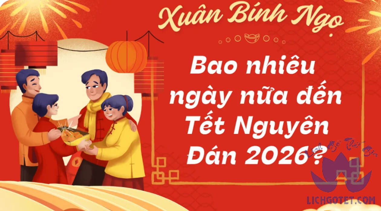 Còn bao nhiêu ngày nữa đến Tết 2026 - Cùng đếm ngược Tết 2026!