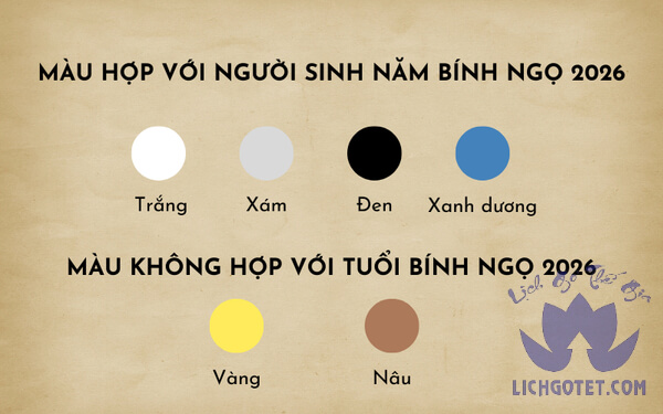 Còn bao nhiêu ngày nữa đến Tết 2026 - Cùng đếm ngược Tết 2026!