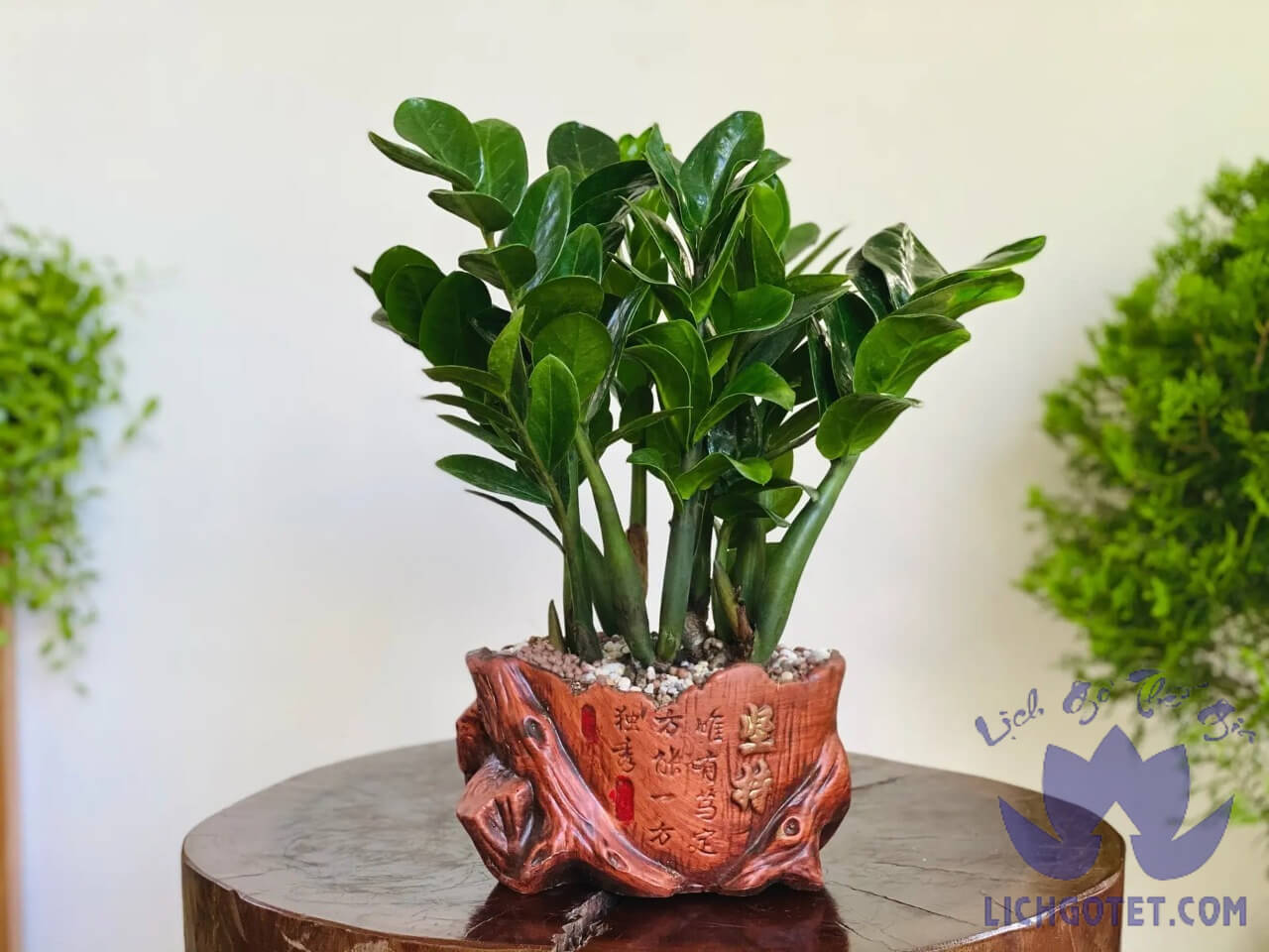 Gợi ý 5 cách chiêu tài lộc cho cửa hàng áp dụng nhiều nhất